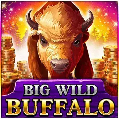 Play Big Wild Buffalo Heyspin casino